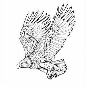 Eagle Bald Realistic Line Art Illustration Black and White Bundle 1 45 ...