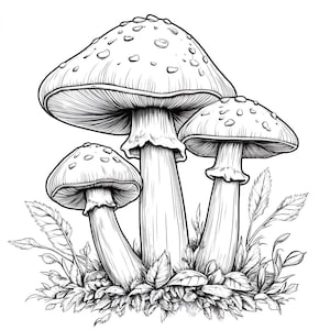 Puede incluir: Un dibujo en blanco y negro de tres setas con manchas que crecen en un parche de hierba. Las setas tienen una tapa redondeada y un tallo largo.