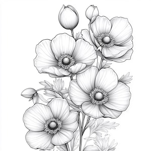 Peut inclure: Illustration en noir et blanc de fleurs d'anémones. L'image présente plusieurs fleurs épanouies, des boutons et des feuilles, le tout rendu avec des ombrages complexes. L'arrangement floral est placé sur un fond blanc uni, mettant en valeur les détails délicats des fleurs.