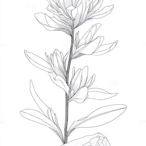 May include: A black and white line art illustration of a flowering plant emerging from a textured rock. The plant features a tall central stem with multiple pointed leaves and a large, layered bloom at the top, rendered with fine, detailed strokes.