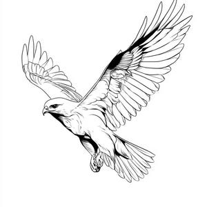 May include: A black and white illustration of a hawk in flight, wings spread wide. The bird is depicted in a detailed, line art style, with shading to define the feathers and form. The hawk is angled downward, suggesting a dive or glide.