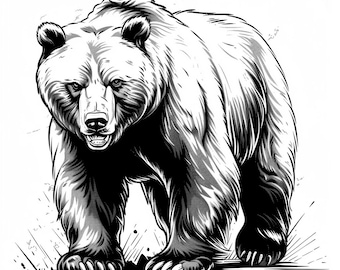 クマのイラスト 版画 A4サイズ クマのイラスト集 2 62点 デジタルAI線画 PNG-SVG (デジタル