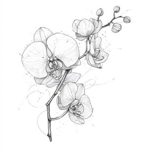 以下が含まれることがあります： ランの植物の詳細な白黒イラスト。この図面は、いくつかの開いた花、つぼみ、葉を特徴とし、繊細な線と陰影が施されています。このアートワークは、クリーンな白い背景に設定されており、花の繊細なデザインの詳細を強調しています。