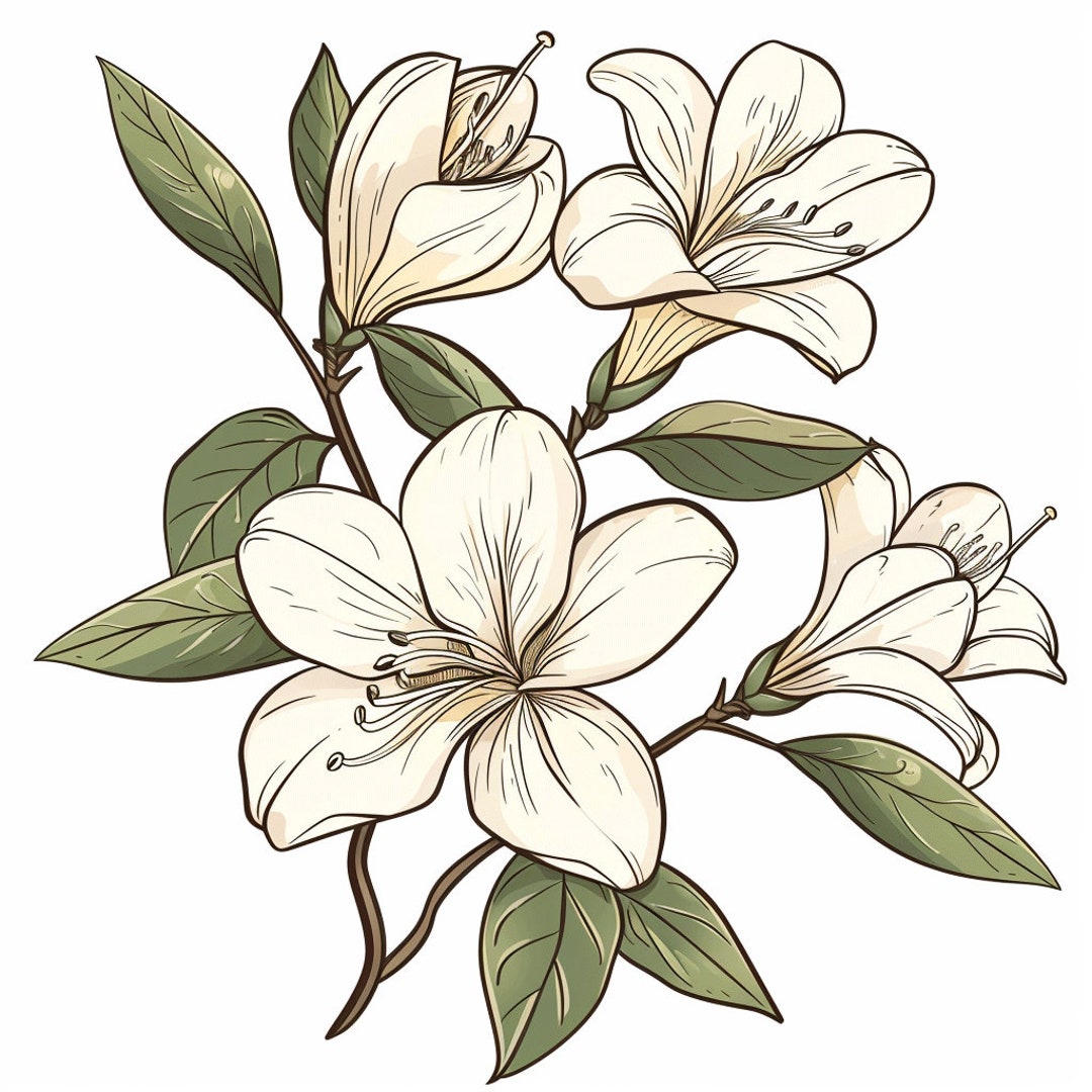 ツツジの花の線画カラーバンドル 1 46 デジタル Ai 線画 PNG-SVG
