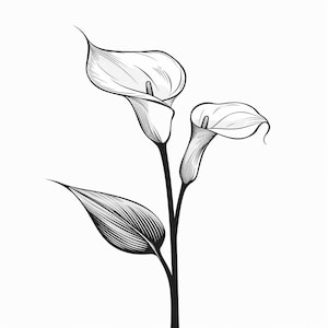 May include: A black and white line drawing of two calla lilies with a single leaf.