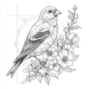 May include: A detailed monochrome illustration of a bird perched on a flowering branch. The bird is depicted with intricate feather detail, surrounded by delicate blossoms and leaves. A geometric design is in the background.