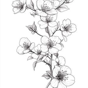 桜の黒/白の線画バンドル 2 55 デジタル線画 Ai SVG PNG