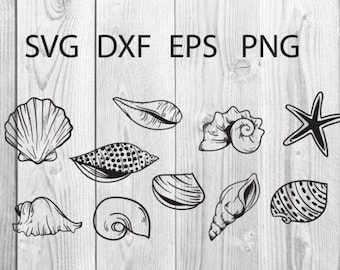 Seashell SVG Bundle: Clipart, Cut Files, Silhouette (Digital Download)