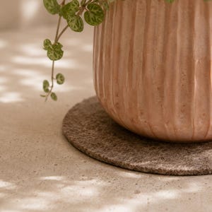 May include: A peach-colored, ribbed ceramic pot holding a trailing plant with small, round, green leaves. The pot sits on a round, textured, gray coaster. The scene is lit with soft, natural light, creating shadows.