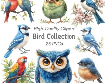 Watercolor Bird Clipart: Owl, Nature Clip Art (PNG)