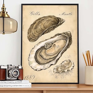 Vintage Oyster Anatomy Print 1889 Coastal Kitchen Wall Art Nautical Scientific Shell Poster | Marine Biology Oyster Illustration