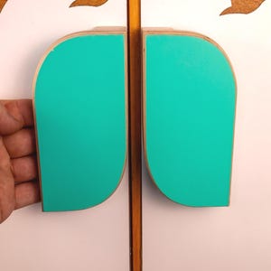 May include: Close-up of a cabinet door with two teal, leaf-shaped handles. The handles are made of wood and are mounted on a white cabinet door. The cabinet door has a wooden frame and a decorative wooden element at the top.