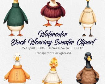 Duck Wearing Sweater Clipart, Watercolor Mallard Duck Clipart, 25 PNG, Digital Illustration, Printable Clip Art, Commercial Use