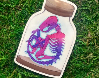 Diaphonized Wet Specimen Sticker | transparent vinyl sticker