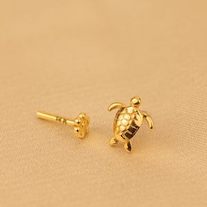 May include: A pair of gold-colored stud earrings. One earring is a small turtle with detailed shell and flippers. The other earring has a post with a flower-shaped backing. The earrings are on a tan background.