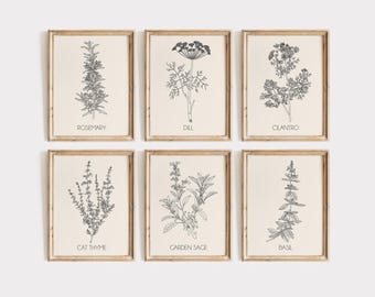 Botanical Herb Print Set of 6, Black and White Kitchen Wall Art, Minimalist Line Drawing Posters, Culinary Illustration, Digital Download