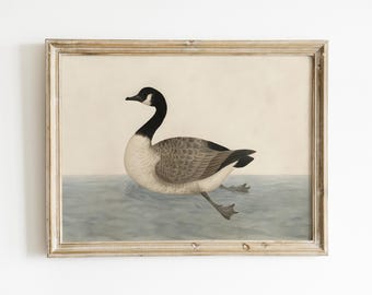 Lámina vintage de ganso canadiense, decoración rústica para casa de lago (descarga digital)