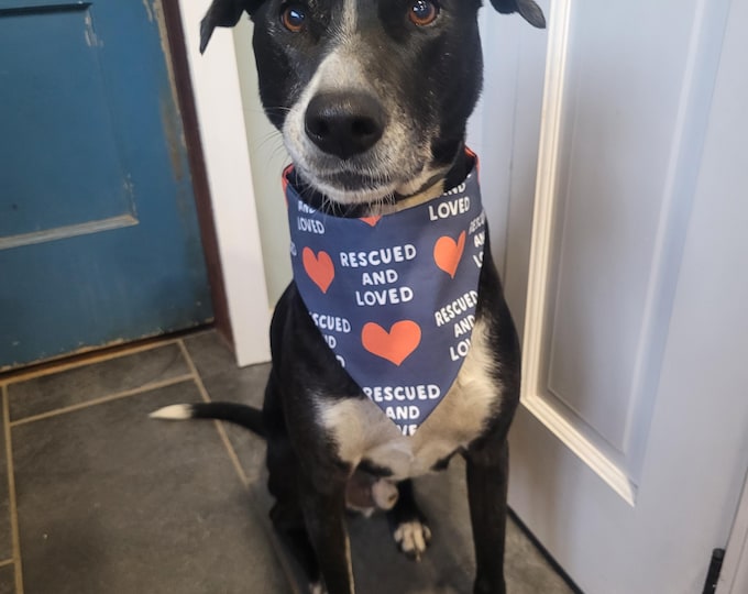 Rescued and Loved - Scrunchie Dog Bandana - adopted furbaby