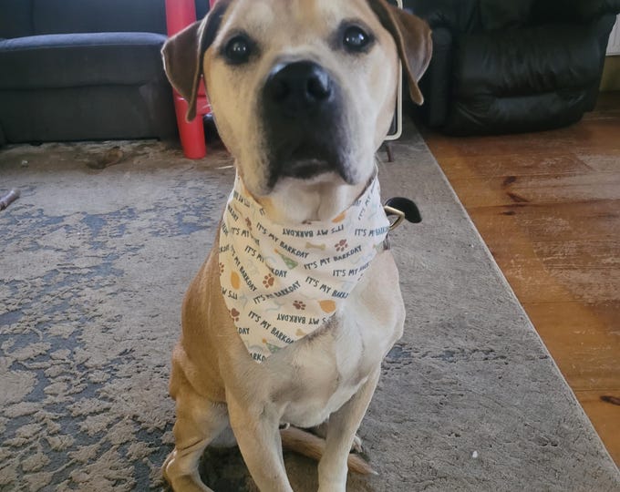 Blue Birthday - Barkday - Scrunchie Dog Bandana