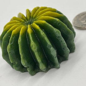 May include: A green and yellow, cactus-shaped object with a ribbed texture. The object is next to a coin. The cactus has a gradient of colours, transitioning from yellow to green. The object is likely a decorative item.