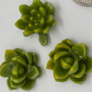 May include: Three green and yellow succulent flower embellishments. The flowers are made of a smooth, shiny material and have a realistic appearance.