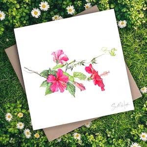 Rote Hibiskus Karte