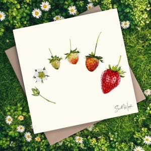 Biglietto d'auguri con fragole