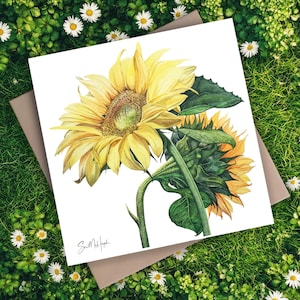 Tarjeta de felicitación de girasol