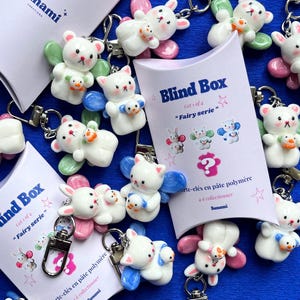Peut inclure: Porte-clés blancs sur le thème des fées, avec des ailes colorées et de petits compagnons animaux. Les porte-clés sont attachés à des fermoirs argentés. L'emballage comprend le texte "Blind Box" et "Fairy serie". La marque "Sunami" est également visible.