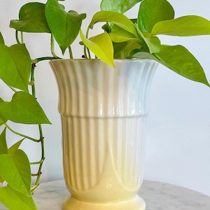 Puede incluir: Un jarrón de cerámica blanco y amarillo con un diseño acanalado. El jarrón está lleno de una planta verde de hojas.