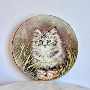 May include: A round decorative ceramic plate featuring a detailed illustration of a fluffy, long-haired tabby kitten with large green eyes sitting amidst tall green grass and wheat stalks, finished with a thin gold-toned metallic rim.