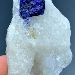 25g Natural Lazurite Crystal On Matrix - Deep Blue Mineral Specimen from Afghanistan