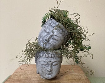 ONE Succulent Planter | Concrete Buddha Head Pot Jar | Handmade Gardener Gift | Zen