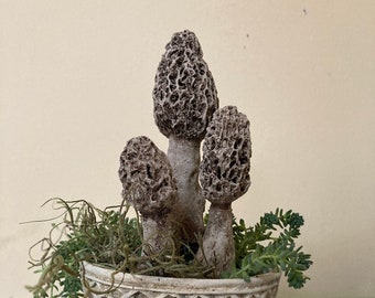 Set of 3 Concrete Cement Morel Mushrooms Garden Statue Chef Gift | HANDMADE Gift for Gardener | Fungi
