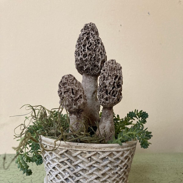 Set of 3 Concrete Cement Morel Mushrooms Garden Statue Chef Gift | HANDMADE Gift for Gardener | Fungi