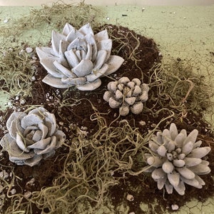 Concrete Statue Succulents Set of 4 Cement Flowers | Gardener's Gift | Handmade Paper Weight