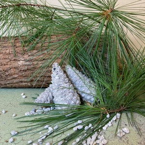Concrete Pinecones Set of 3 | Garden Statue | Woodland Rustic Decor | Gift for Gardener | Conifer Cone | Winter Decor