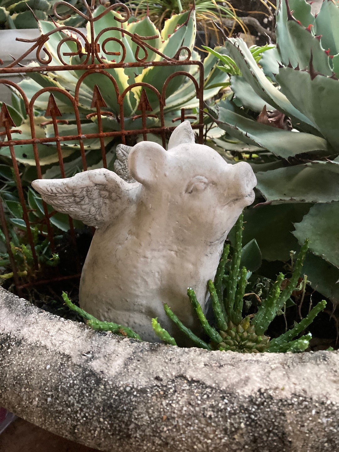Concrete Flying Pig Garden Statue When Pigs Fly Farm Etsy