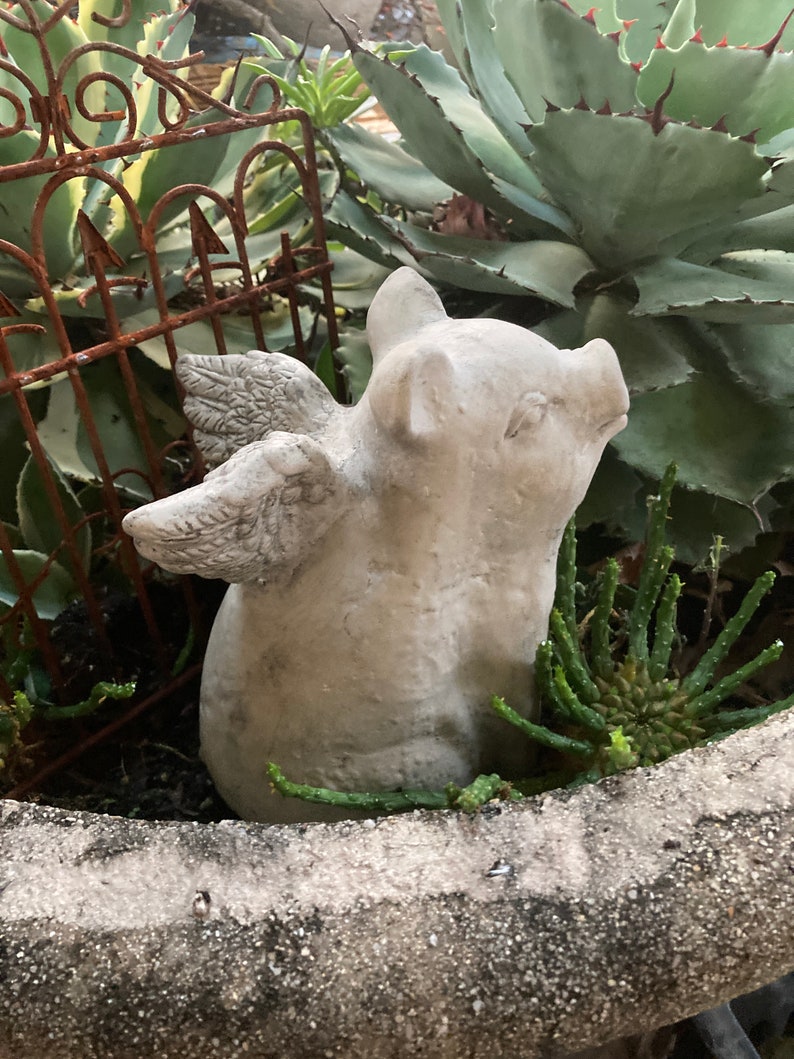 Concrete Flying Pig Garden Statue When Pigs Fly Farm Etsy