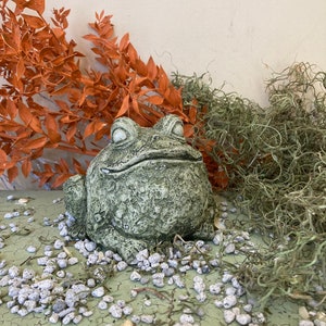 Garden Statue Bull Frog Toad | Concrete Stone Garden Statue | Spotted Toad | Handmade Concrete