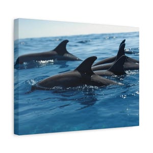 Dolphin Pod in Crystal Blue Waters - Ocean Wildlife Canvas Print