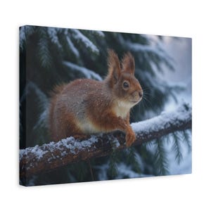 Winter Squirrel on Snowy Branch - Cozy Forest Wildlife Canvas Print