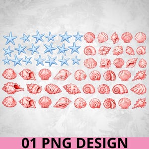 May include: A digital graphic design featuring a collection of light blue starfish arranged in a rectangular block on the left, with rows of various pink seashells forming stripes on the right, mimicking the layout of the American flag.