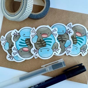 May include: An assortment of stickers featuring a cartoon axolotl design in shades of blue, gray, and brown. Two rolls of decorative tape, one with a dotted pattern and the other solid, are also visible. Two pens are also included.