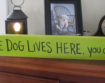 The Dog Lives Here You Don't-----Dog or Cat Lover hand painted sign