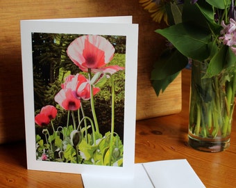 Poppy Forest, Photo Print Art card with envelope, Pink Poppy Card, Mothers Day card, Blank inside, Birthday card, Condolences card