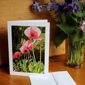 Poppy Forest, Carte d’art d’impression photo avec enveloppe, Carte de coquelicot rose, Carte de fête des mères, Vierge à l’intérieur, Carte d’anniversaire, Carte de condoléances
