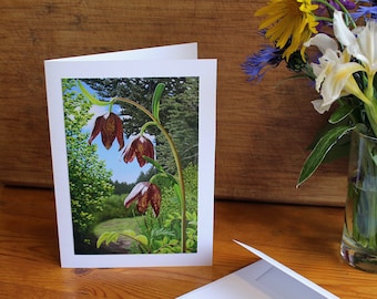 Chocolate Lily, Photo Print Art card with envelope, BC Wild Flower Image, Mothers Day card, Blank inside, Birthday card, Condolences card