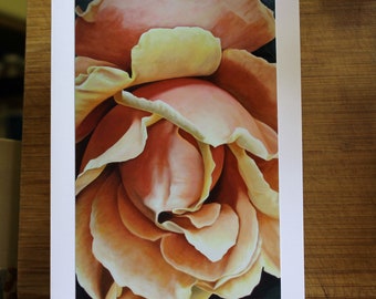 Rosa Grande, Photo Print Art card with envelope, Orange Rose Card, Mothers Day card, Blank inside, Birthday card, Condolences card