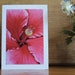 see more listings in the Art Cards section